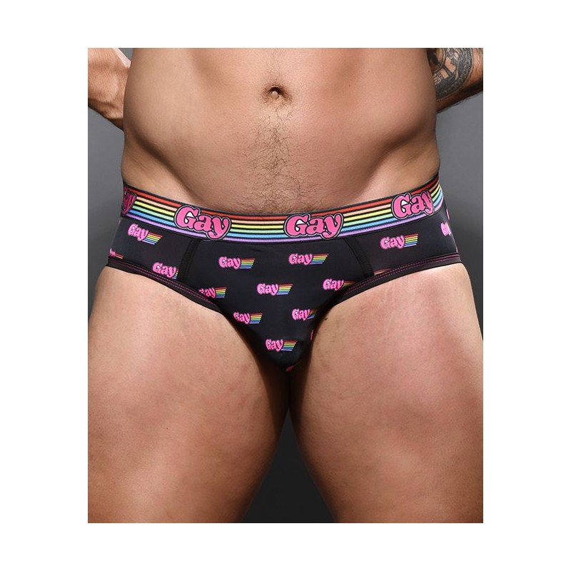 Gay Pride Brief w/ Almost Naked Gay Pride Brief w/ Almost Naked
